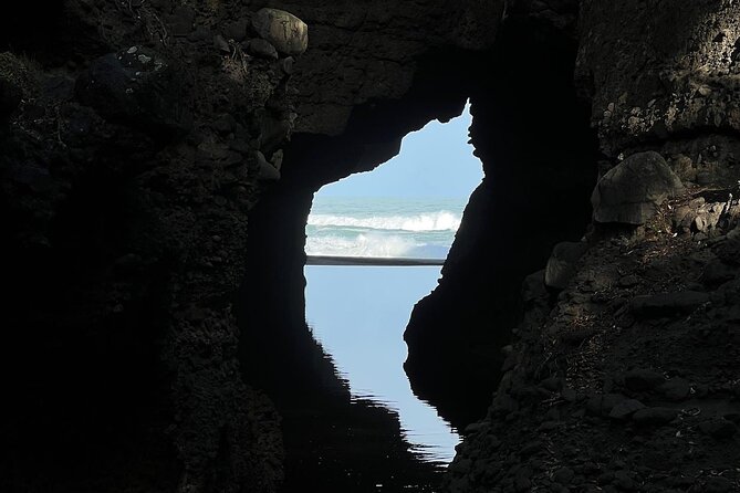 Full Day Exploring the Wild Piha Beach In Auckland - What to Expect on the Tour