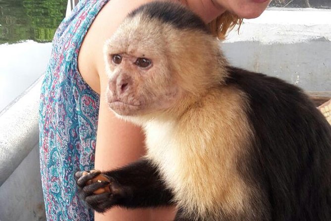 Full-Day Gatun Lake and Indian Village Tour From Panama City - Itinerary and Experience