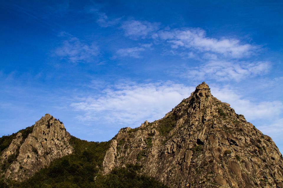 Full-Day Gomera Jeep Safari From Puerto De La Cruz - Exploring Gomeras Unique Landscapes