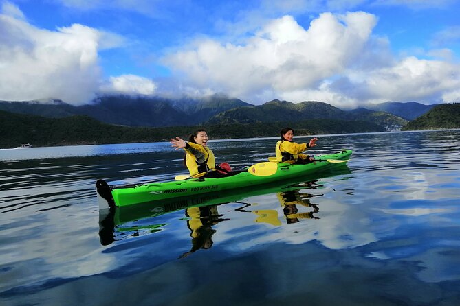 Full Day Guided Sea Kayak Tour From Picton - Wildlife Encounters