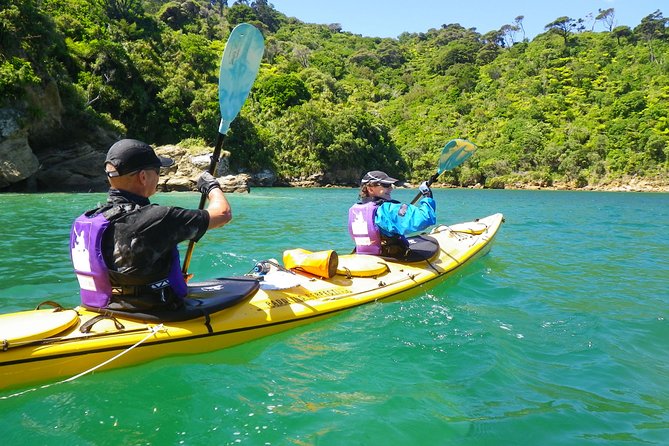 Full-Day Guided Sea Kayak Trip From Picton - Itinerary Highlights