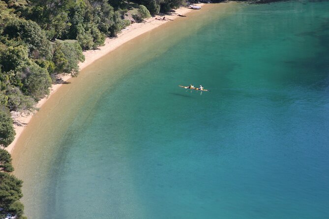 Full-Day Guided Sea Kayaking Trip From Anakiwa - Tour Highlights