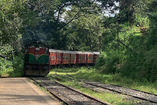 Full Day Guided Tour to Ella - Meeting and Pickup Details