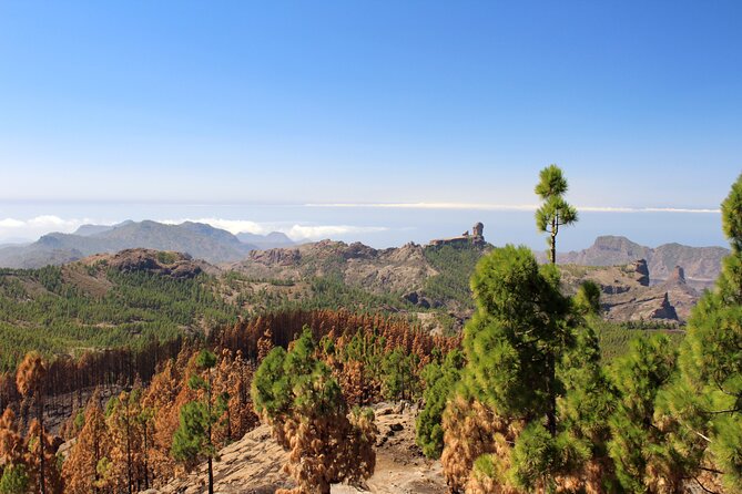 Full Day Hiking Gran Canaria Peaks of Gran Canaria - Whats Included