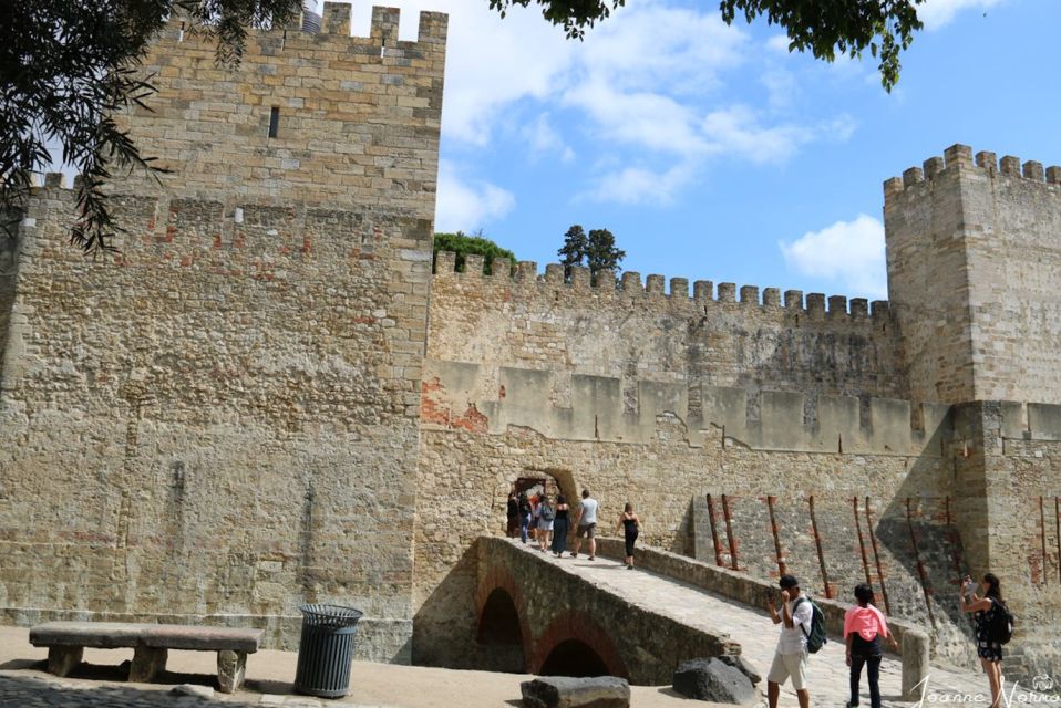 Full Day Hippo Trip and Castelo De São Jorge Tour - Tour Highlights and Experience