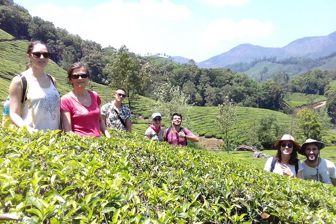 Full Day in Hiking in Munnar (By Munnar Info) - Tea Fields and Forests