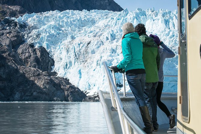 Full-Day Kenai Fjords National Park Northwestern Cruise - Key Wildlife Sightings