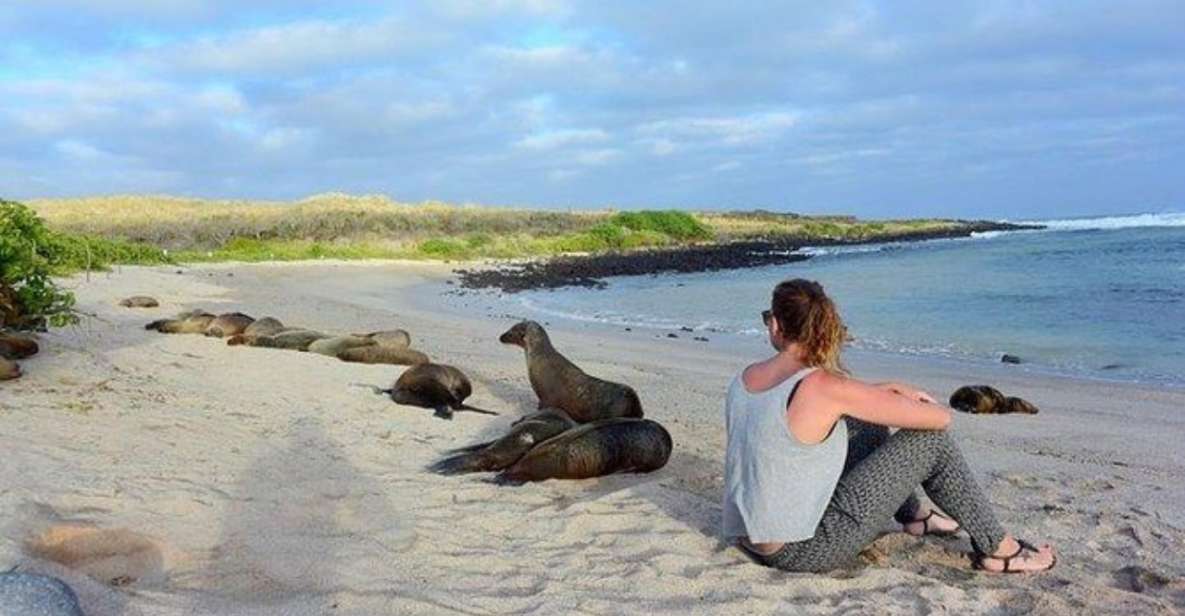 Full Day Leon Dormido and Lobos Island Tour - Itinerary Details