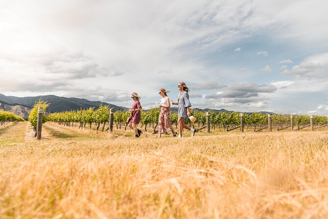 Full-Day Marlborough Wine Tour From Blenheim - Tasting Experience