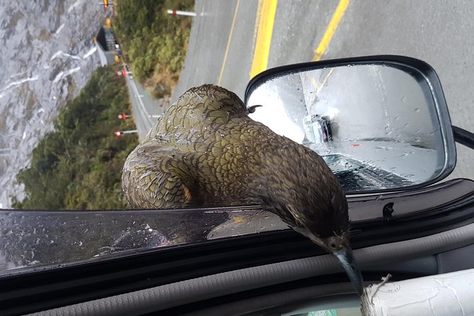 Full-Day Milford Sound Extraordinaire Tour From Te Anau - Inclusions and Amenities Offered