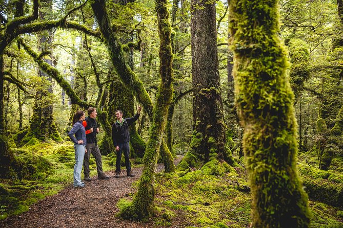 Full-Day Milford Sound Tour With Cruise and Walks From Te Anau - Scenic Milford Road