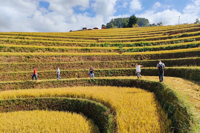 Full Day Motorbike Mu Cang Chai - Inclusions of the Experience