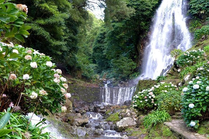 Full Day Outdoor Nordeste & Waterfall Tour With Lunch - Customer Experiences