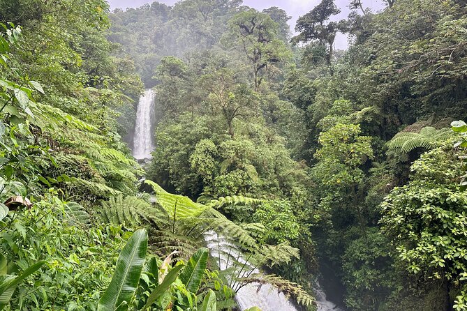 Full Day Poas Volcano, La Paz Waterfall Gardens and Coffee Plantation Experience - Inclusions and Logistics