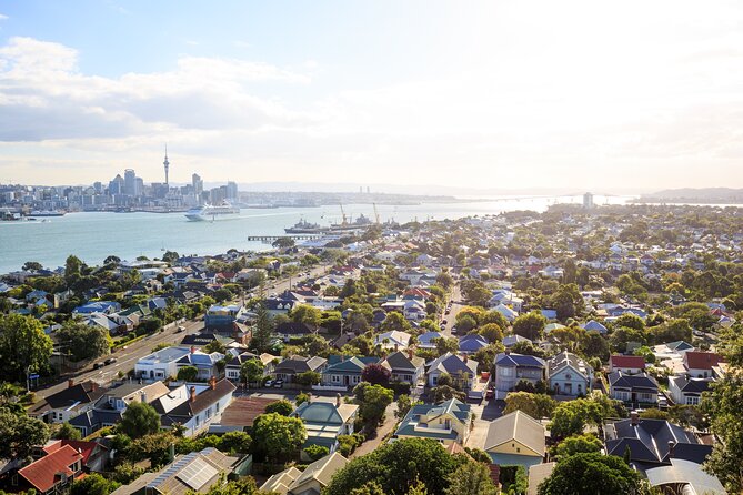 Full Day Private Shore Tour in Auckland From Tauranga Cruise Port - Meeting Details