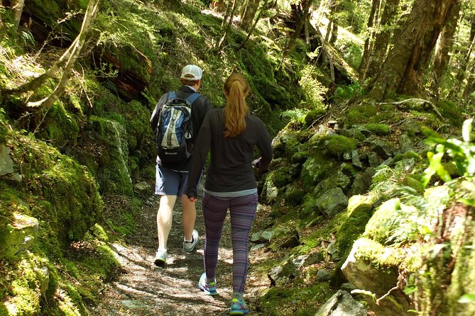 Full-Day Small-Group Routeburn Valley Walk - Trail Overview