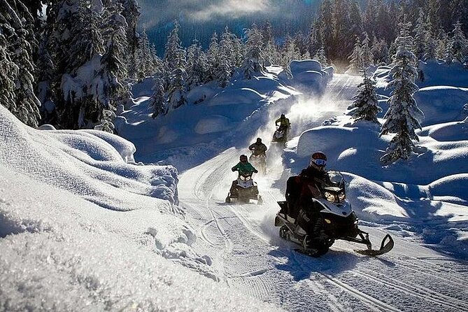 Full Day Snowmobile Safari - Pricing Structure