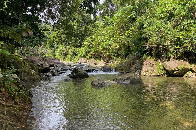 Full-Day Tinajas Hiking to El Yunque Rainforest With Transport - Guest Reviews and Feedback