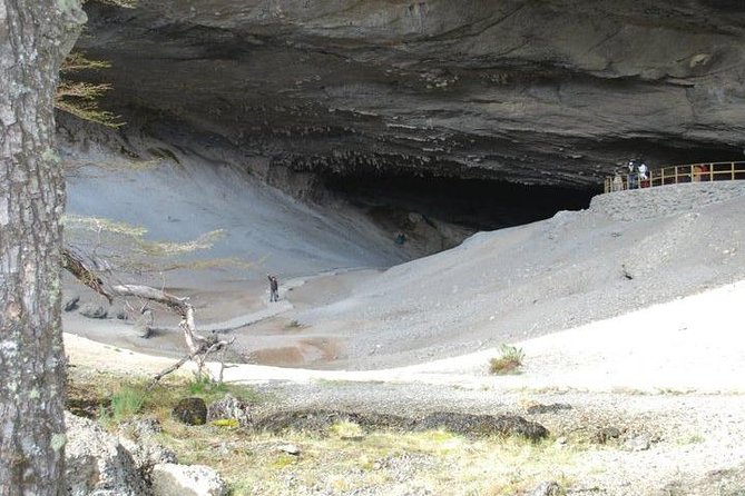 Full Day Torres Del Paine - Tour Experience and Highlights