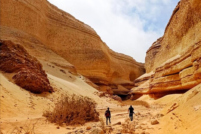 Full Day Tour Canyon of the Lost in Ica Desert - Whats Included