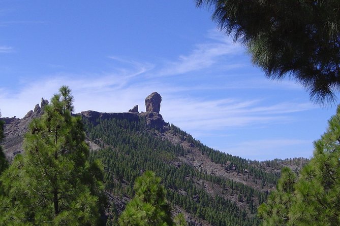 Full-Day Tour Exploring History, Nature and Aloe Vera Farm - Itinerary Highlights