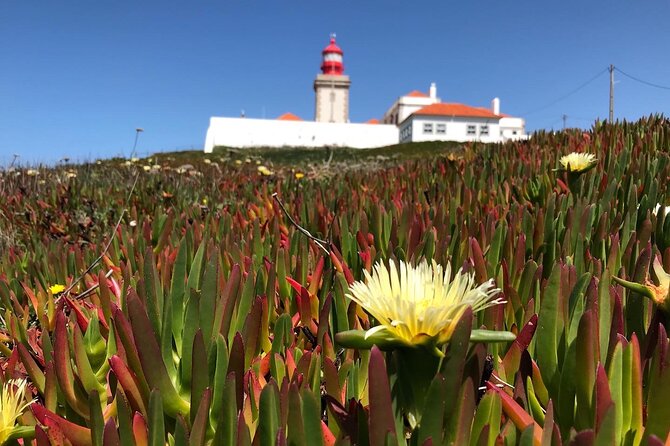 Full Day Tour: Sintra, Pena Palace, Cabo Da Roca, Cascais - Tour Experience