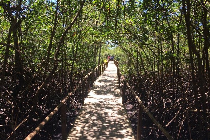 Full-Day Tour to Trancoso and Chocolate Factory From Porto Seguro - Transportation Details
