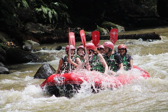 Full-Day Tour: White Water Rafting and Highlight of Ubud With All-Inclusive - White Water Rafting Experience