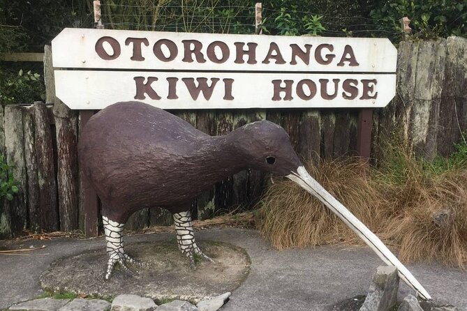 Full Day Waitomo Glow Worm Cave and Kiwi House Tour - Meeting and Pickup Details