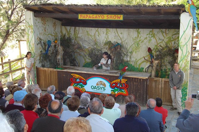 Full-Day Western Theme Park Tour of Mini Hollywood - Oasys - Exciting Activities and Attractions