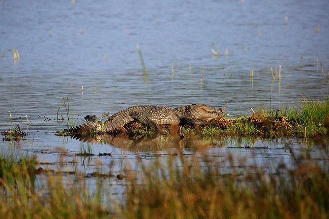 Full Day Wilpaththu National Park Safari (All Inclusive) - Safari Experience Highlights