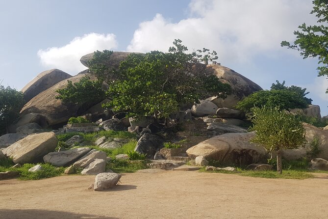 Full Island Sightseeing Tour of Aruba With Cave Pool Swim - Pickup Details