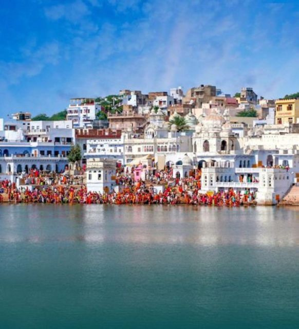 Fullday Pushkar Tour From Jaipur With Guid+Camel/Jeep Safari - Itinerary Highlights