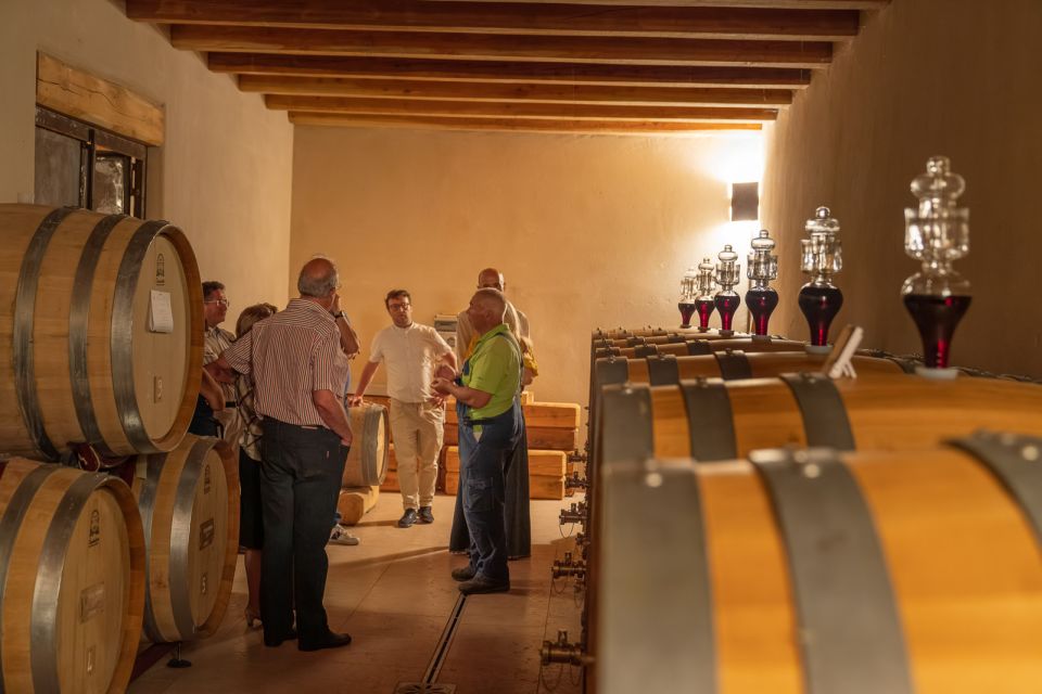 Fumane: Guided Food and Wine Tasting With Vineyard Tour - Tour Highlights