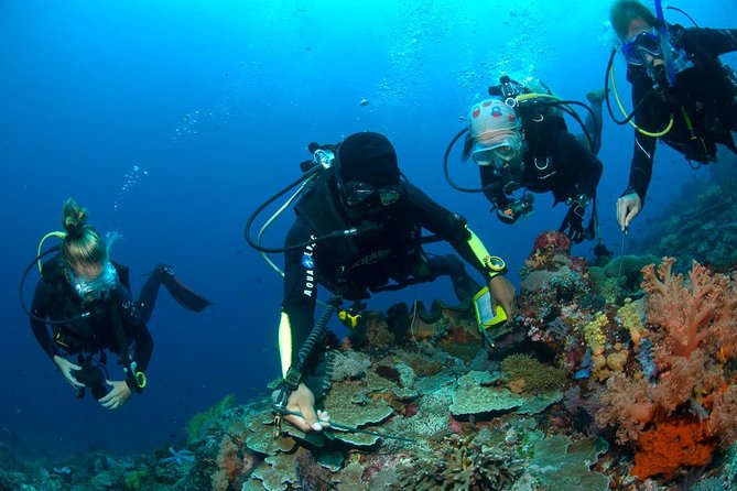 Fun Diving Tulamben Bali - For Certified Divers - Inclusions and Amenities