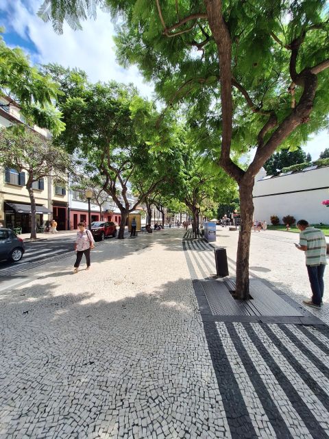 Funchal City Tour - Pricing and Booking Details