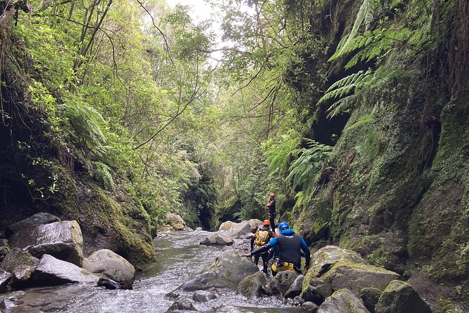 Funchal: Half-day Beginners Canyoning - Whats Included in the Experience