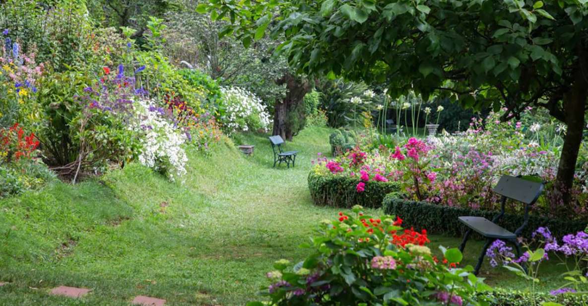 Funchal: Palheiro Gardens and Old Town Private Tuk Tuk Tour - Discovering Palheiro Gardens