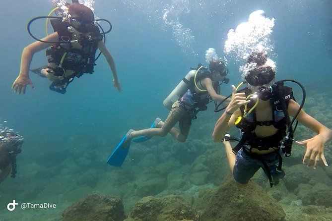 Fundive Catalina Islands (2 Dives Only for Certified Divers) - Whats Included in the Package