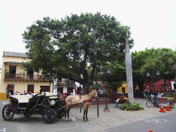 Gabriel García Márquez Myths and Legends Private Walking Tour - Itinerary Highlights