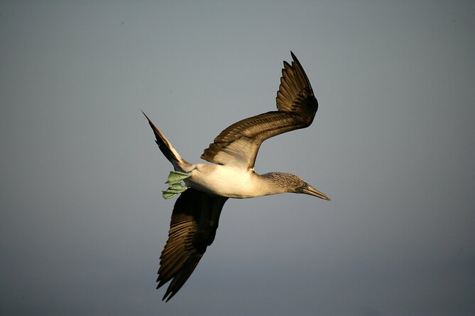 Galapagos Intensive 5 Days, Land Base (3islands) Excludes Galapagos Flight - Itinerary Overview