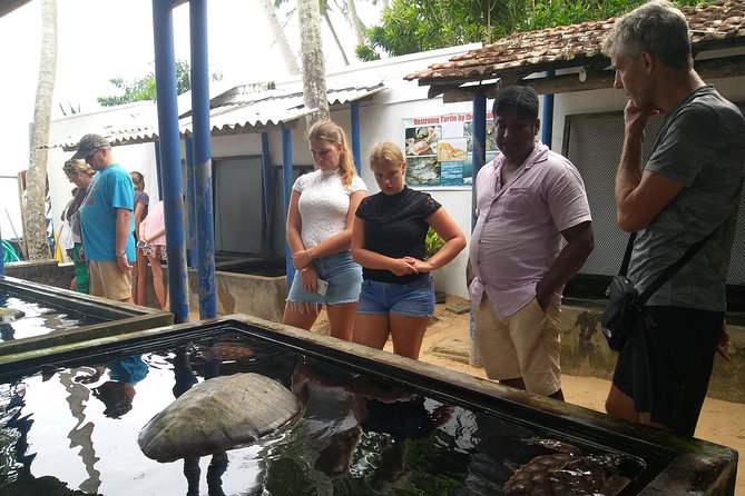 Galle Sightseeing Tour - Experience Galle Fort