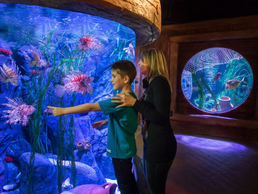 Gardaland SEA LIFE Aquarium: Open Date Entry Ticket - Aquarium Attractions and Highlights
