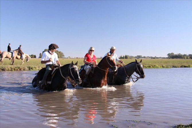 Gaucho Small-Group Full Day at a Farm in Buenos Aires - Guides and Their Impact