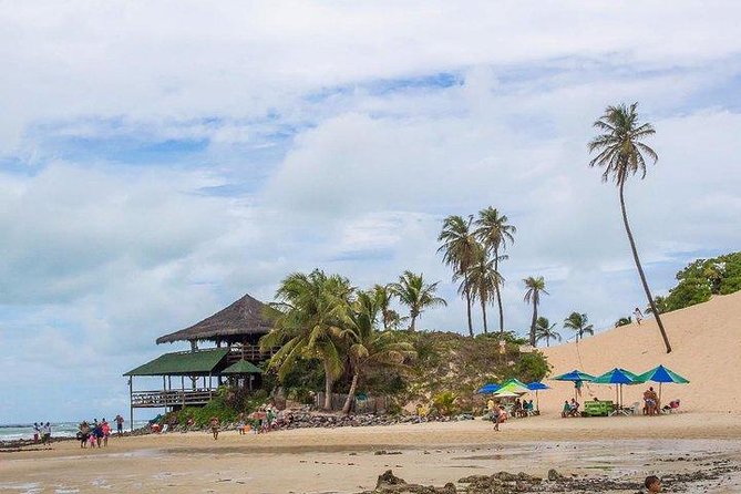Genipabu Beach Tour - Leaving Natal - Included Amenities and Services