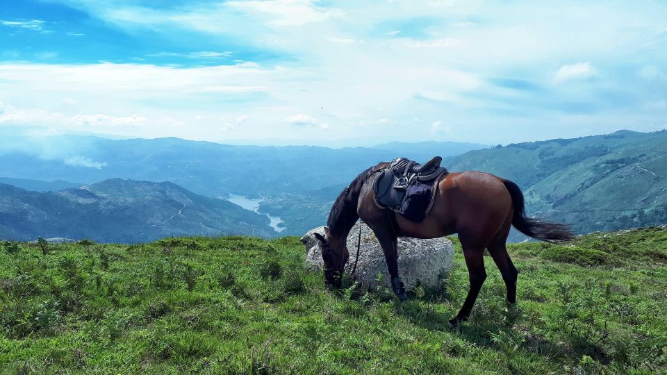 Gerês Braga: Horseback Ride in Peneda Gerês National Park - Highlights of the Ride