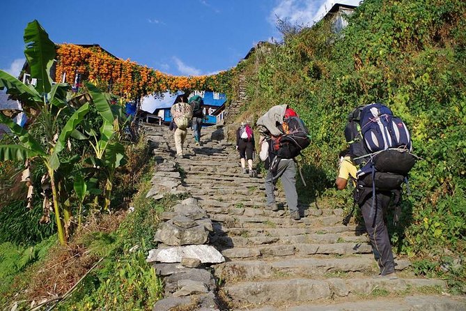 Ghorepani Poon Hill Trekking - Trekking Itinerary and Route