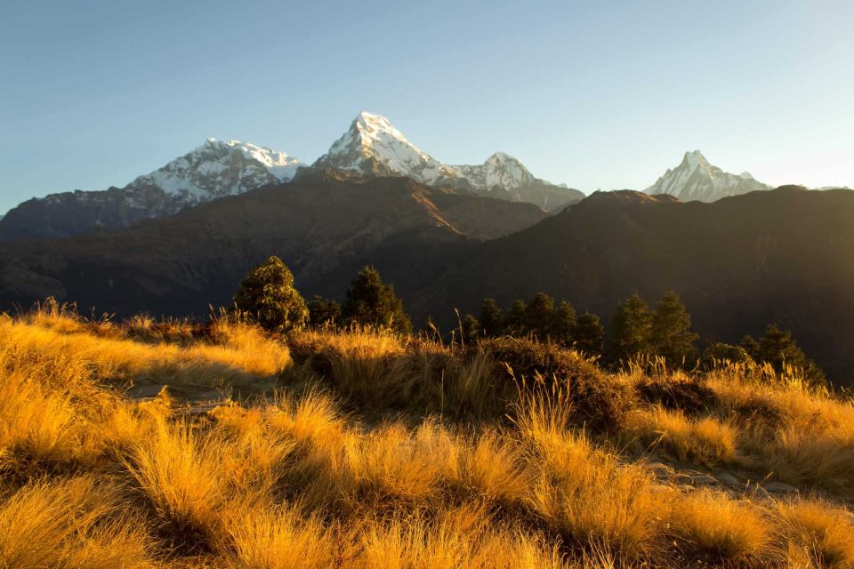 Ghorepani Poonhill Trek - Detailed Itinerary