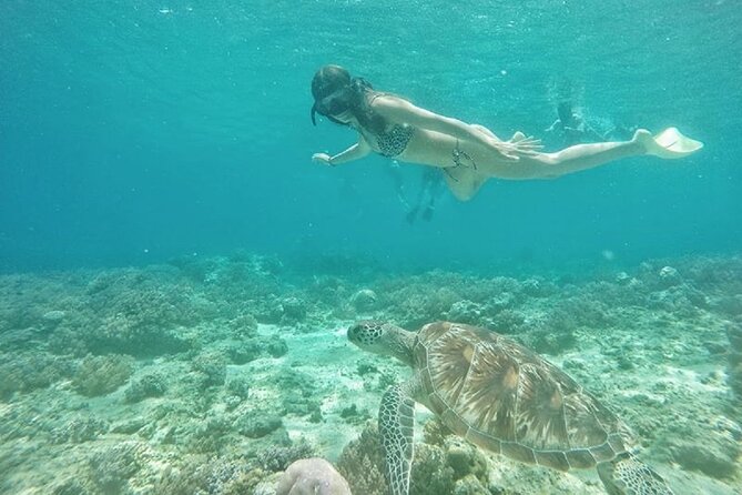 Gili Island Snorkeling Half Day Trip Departure From Gili Trawangan - Inclusions and Logistics