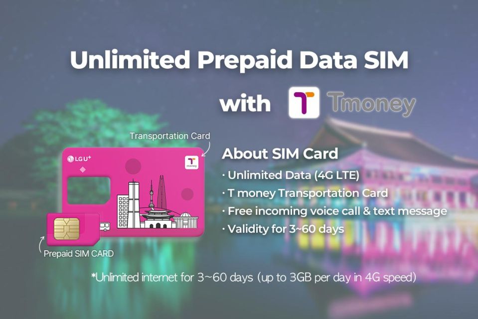 Gimpo Airport: Traveler SIM and T-money Transportation Card - Duration Options for SIM